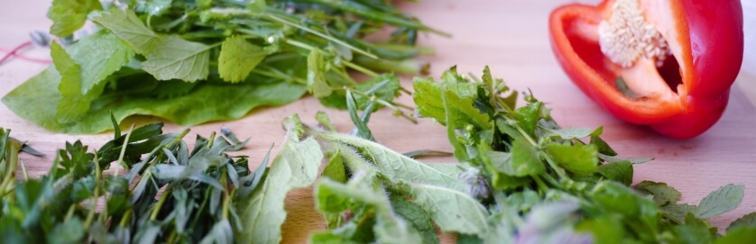 good nutrition is a good way to cope with your grass intolerance