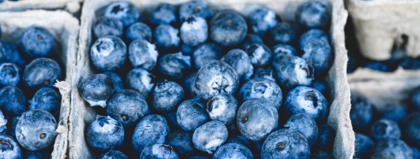 blueberries and food intolerance