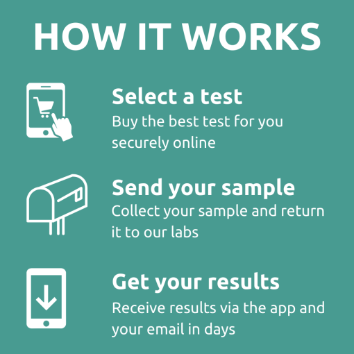 Intolerance test how it works