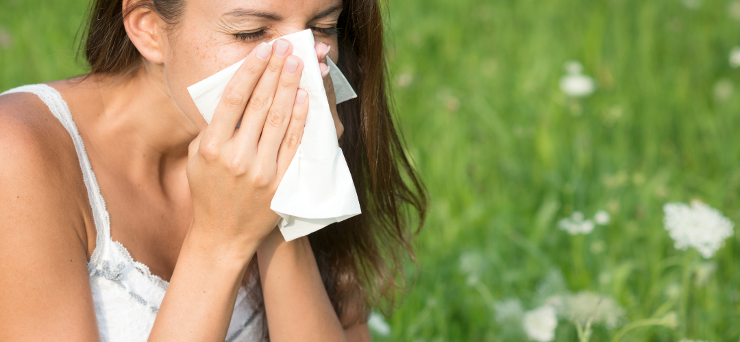 Hay Fever Season Guide