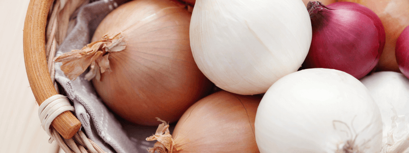 onions allergy - Onion Allergy Guide
