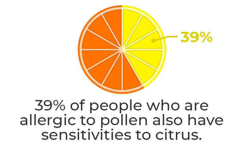 citrus-stats 39% of people who are allergic to pollen also have sensitivities to citrus.