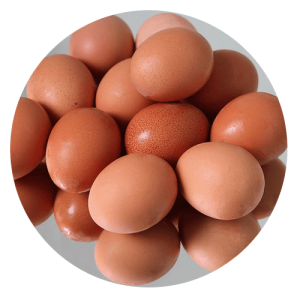 eggs 300x300 - Gluten Intolerance
