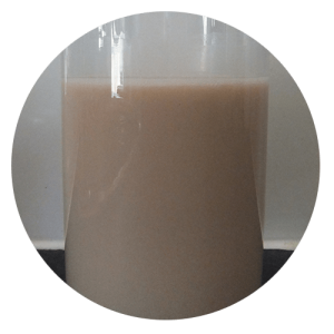 hazelnut 300x300 - Dairy Intolerance