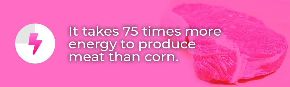 It takes 75 times more energy to produce meat than corn.