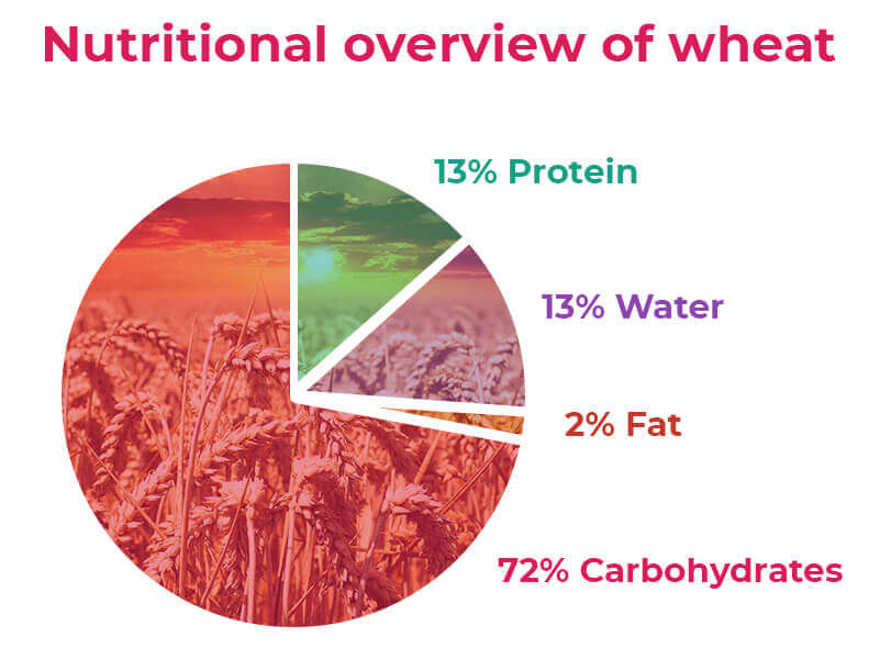 wheat-graphic