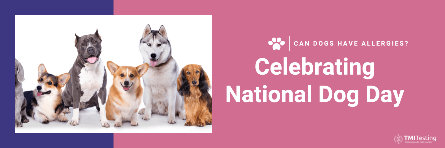 Celebrating national Dog Day In Style