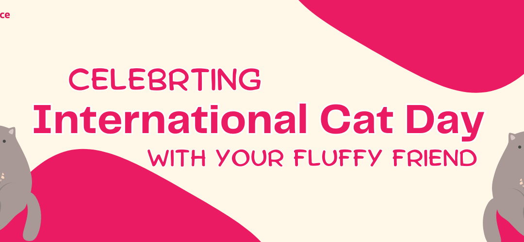 Celebrating International Cat Day With Your Fluffy Friend