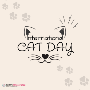 Celebrating International Cat Day