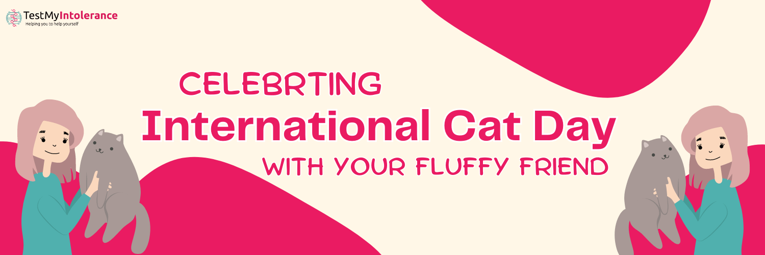 Celebrating International Cat Day With Your Fluffy Friend